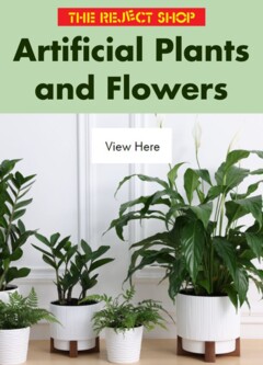 Preview of catalogue The Reject Shop Catalogue - Artificial Plants and Flowers from shop The Reject Shop valid 25/04/2026