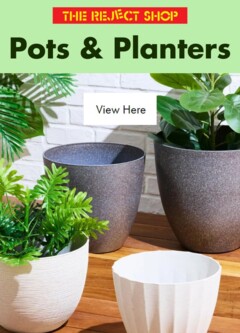Preview of The Reject Shop Catalogue - Pots & Planters - valid from 27.03.2026
