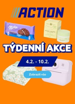 Náhled letáku Action Nabídka produktů od 04.02.2026