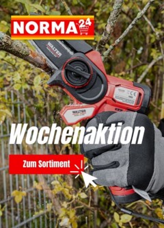 Vorschau von dem Prospekt des Geschäftes Norma, gültig ab dem 13.10.2025
