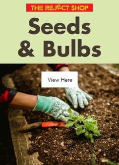 Preview of The Reject Shop Catalogue -  Seeds & Bulbs - valid from 27.02.2026