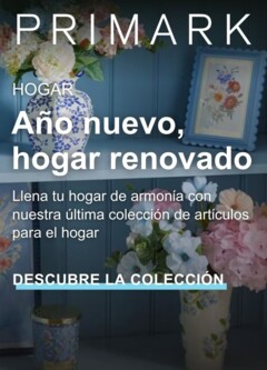 Vista previa del folleto de la tienda Primark válido desde el 13/01/2026