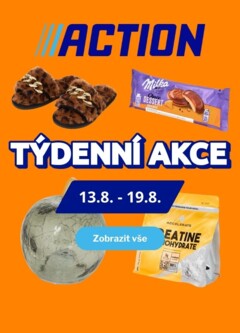 Náhled nabídky: Action Nabídka produktů platný od 13.08.2025