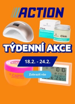 Náhled letáku Action Nabídka produktů od 18.02.2026
