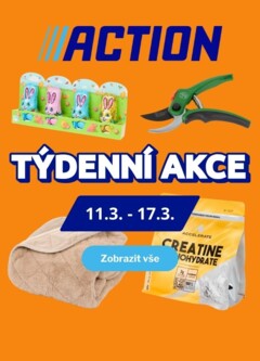Náhled nabídky: Action Nabídka produktů platný od 11.03.2026