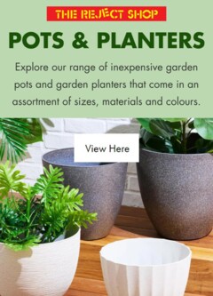 Preview of catalogue Catalogue - Pots & Planters from shop The Reject Shop valid 01/08/2025