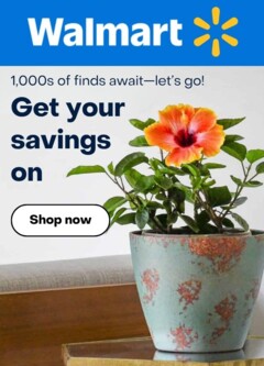 Preview of Walmart weekly ads valid from 14.04.2026