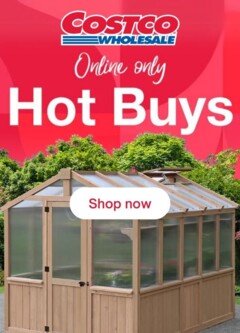 Preview of Costco Catalogue - Hot Buys - valid from 03.02.2026