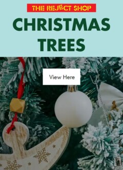 Preview of catalogue Catalogue - Christmas Trees from shop The Reject Shop valid 07/11/2025