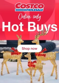 Preview of Costco Catalogue - Hot Buys - valid from 07.10.2025