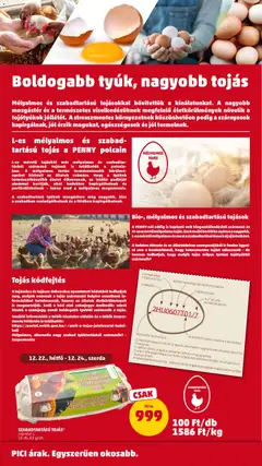 PENNY Akciós újság - amely érvényes a következő dátumtól: 18.12.2025 | Oldal: 33