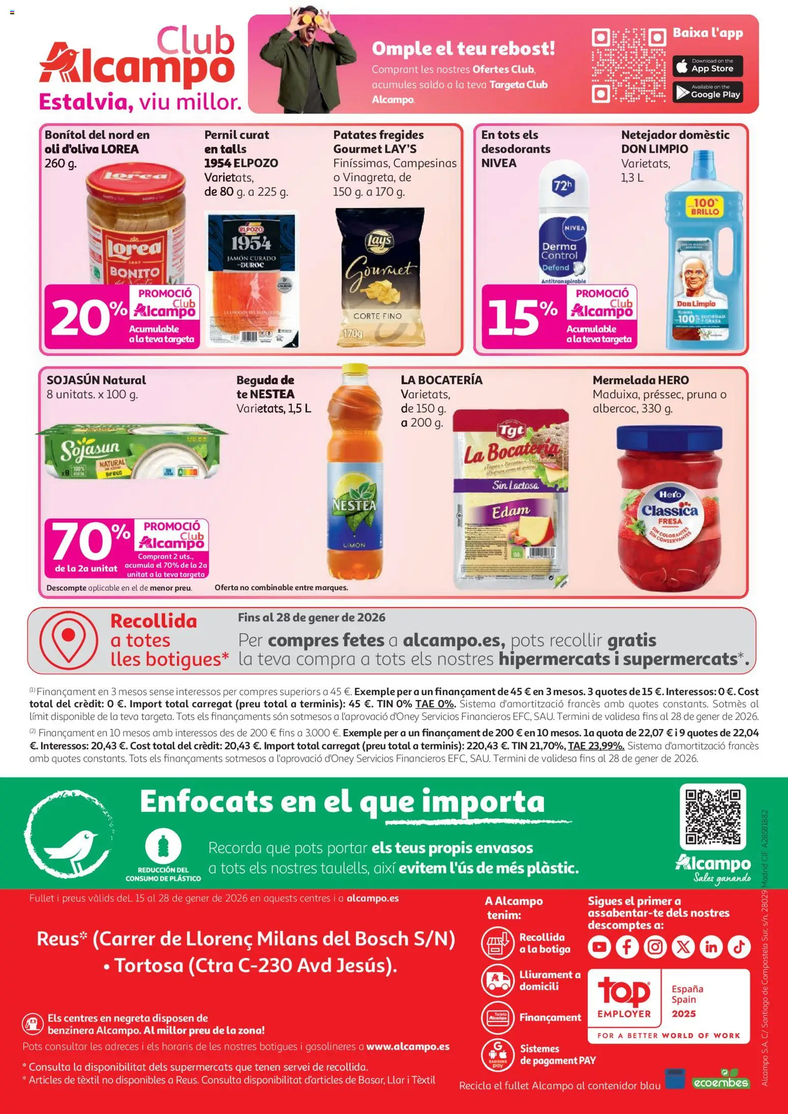 Alcampo - Superstore Cat │ válido desde el 15.01.2026 | Página: 12 | Productos: Jamón, Té
