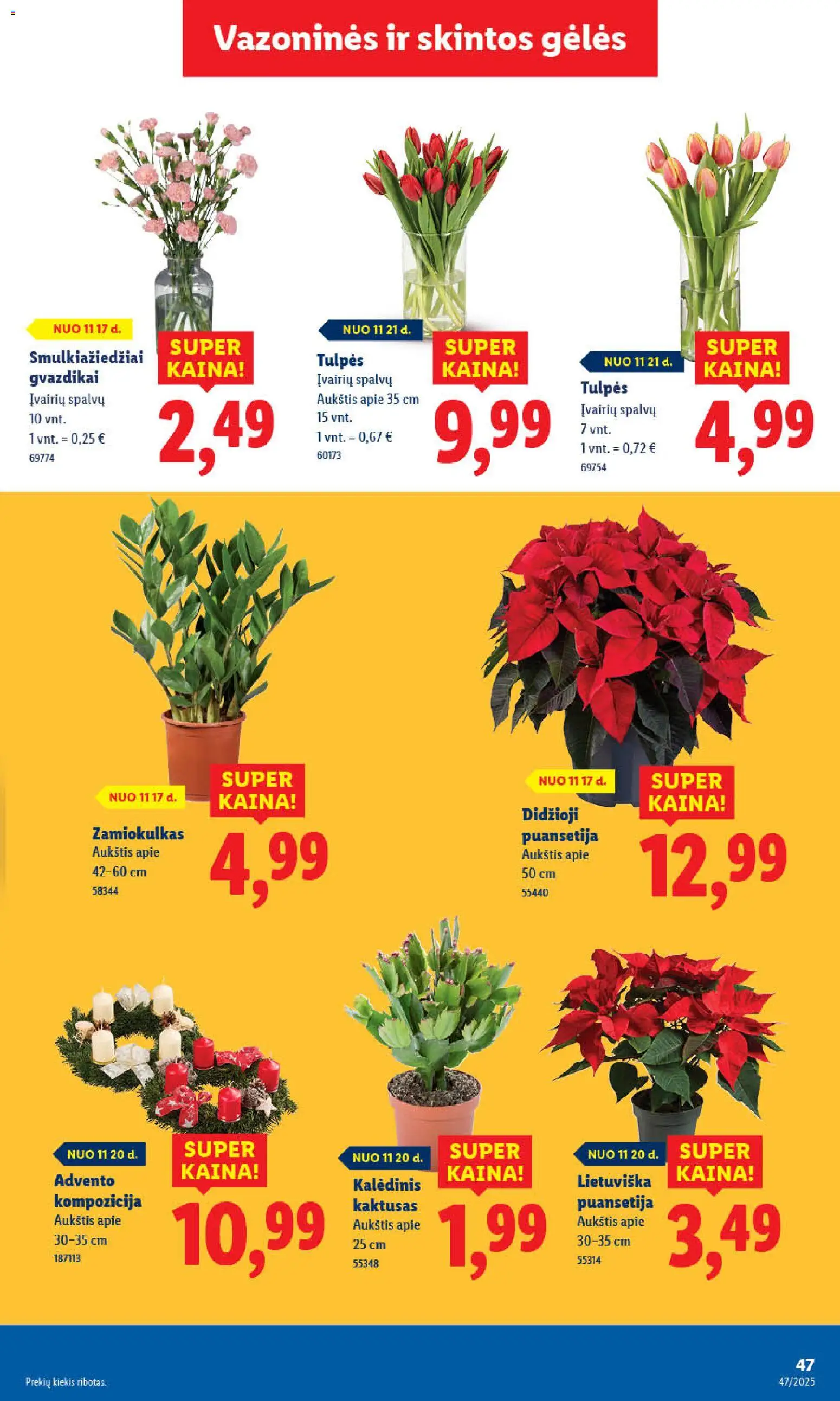 LIDL akcijos nuo 20.11.2025 | Puslapis: 49