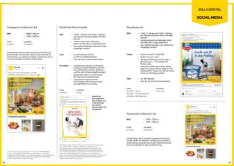 Billa AT - BILLA Mediadaten 2026 - amely érvényes a következő dátumtól: 15.01.2026 | Oldal: 13 | Termékek: Videó, Audio, Protein