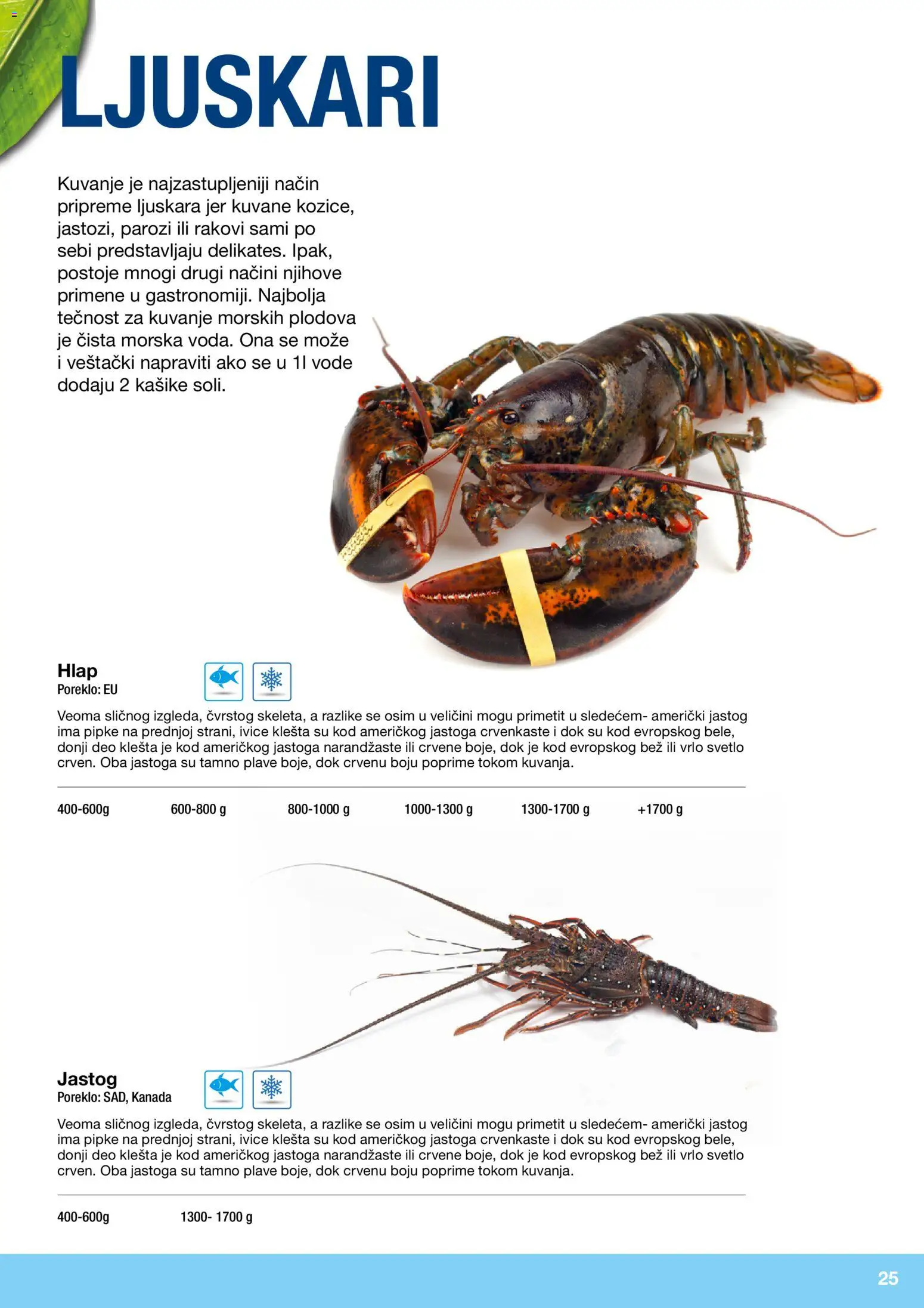 Metro katalog - važi od 10.12.2025 | Strana: 25