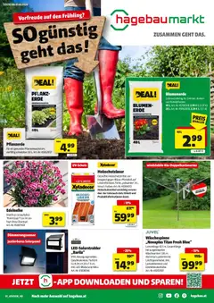 Hagebau Flugblatt ab 24.02.2026 gültig