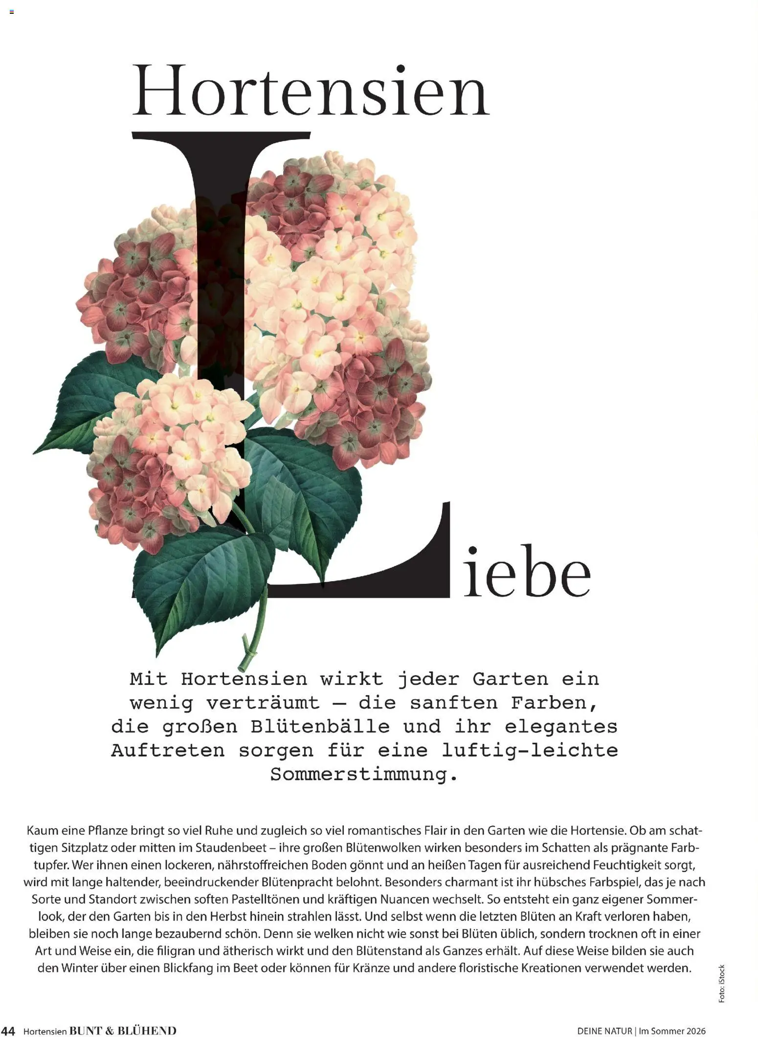 Dehner Prospekt 	 – gültig ab 17.04.2026 | Seite: 44