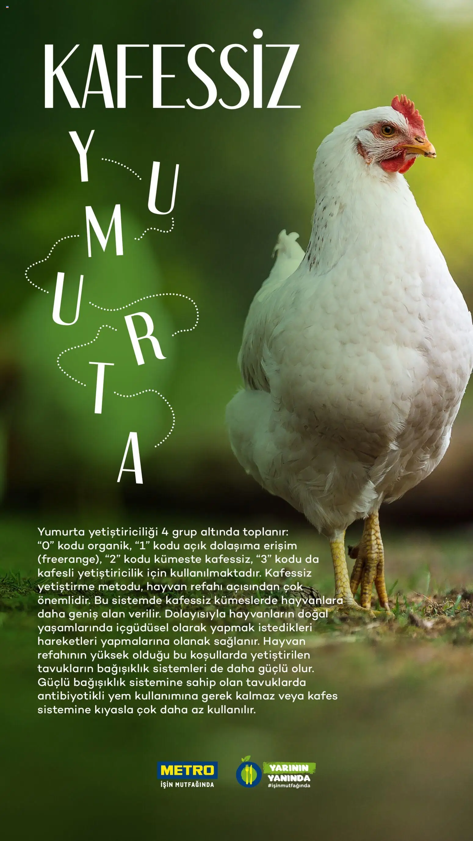 Metro - Sürdürülebilir Ürünler Kataloğu - 28.07.2025 tarihinden itibaren geçerlidir | Sayfa: 41 | Ürünler: Yumurta