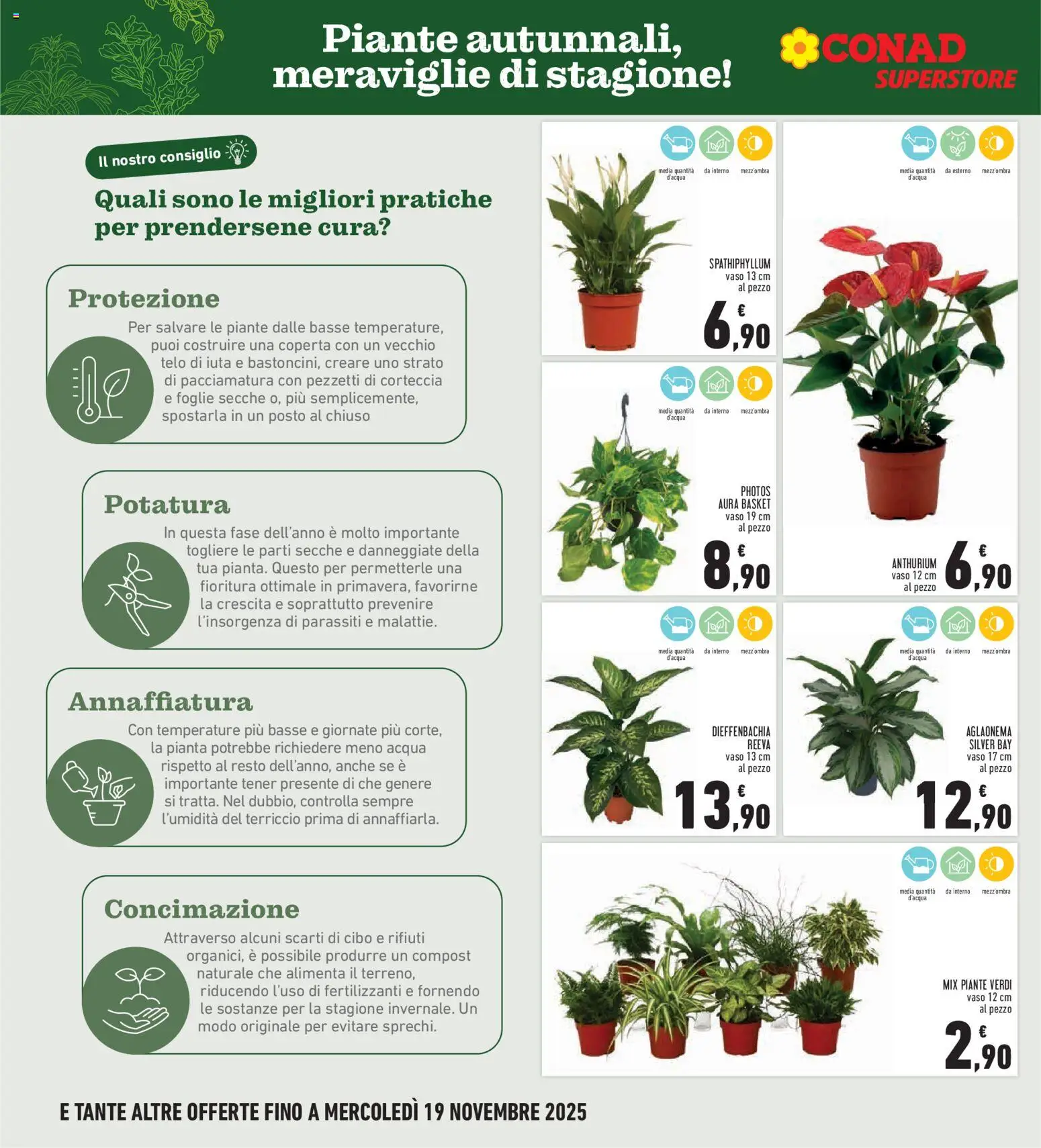 Volantino Conad del 06.11.2025 | Pagina: 10 | Prodotti: Acqua, Terriccio, Coperta, Vaso