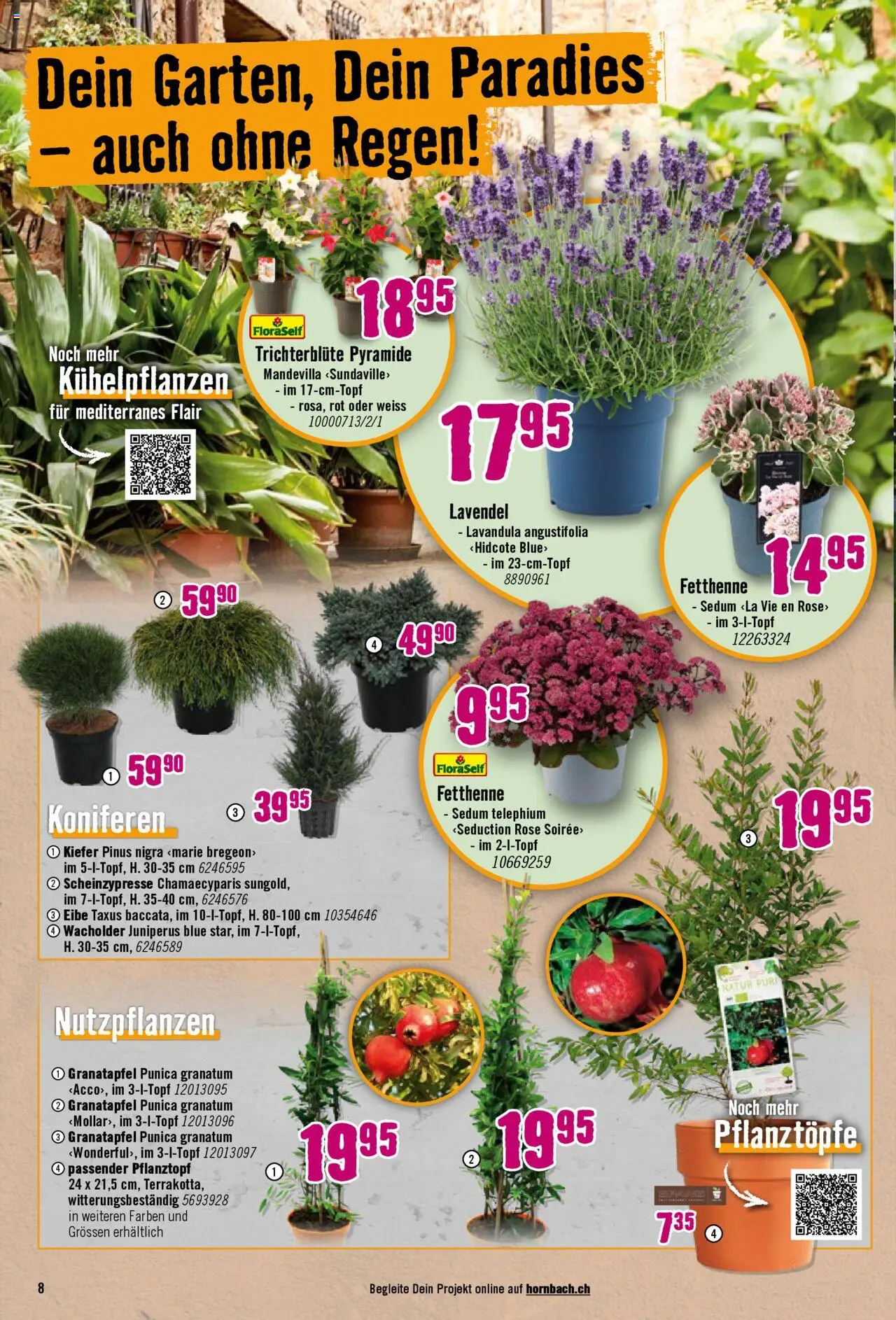 Hornbach Aktionen ab 07.07.2025 | Seite: 8 | Produkte: Granatapfel