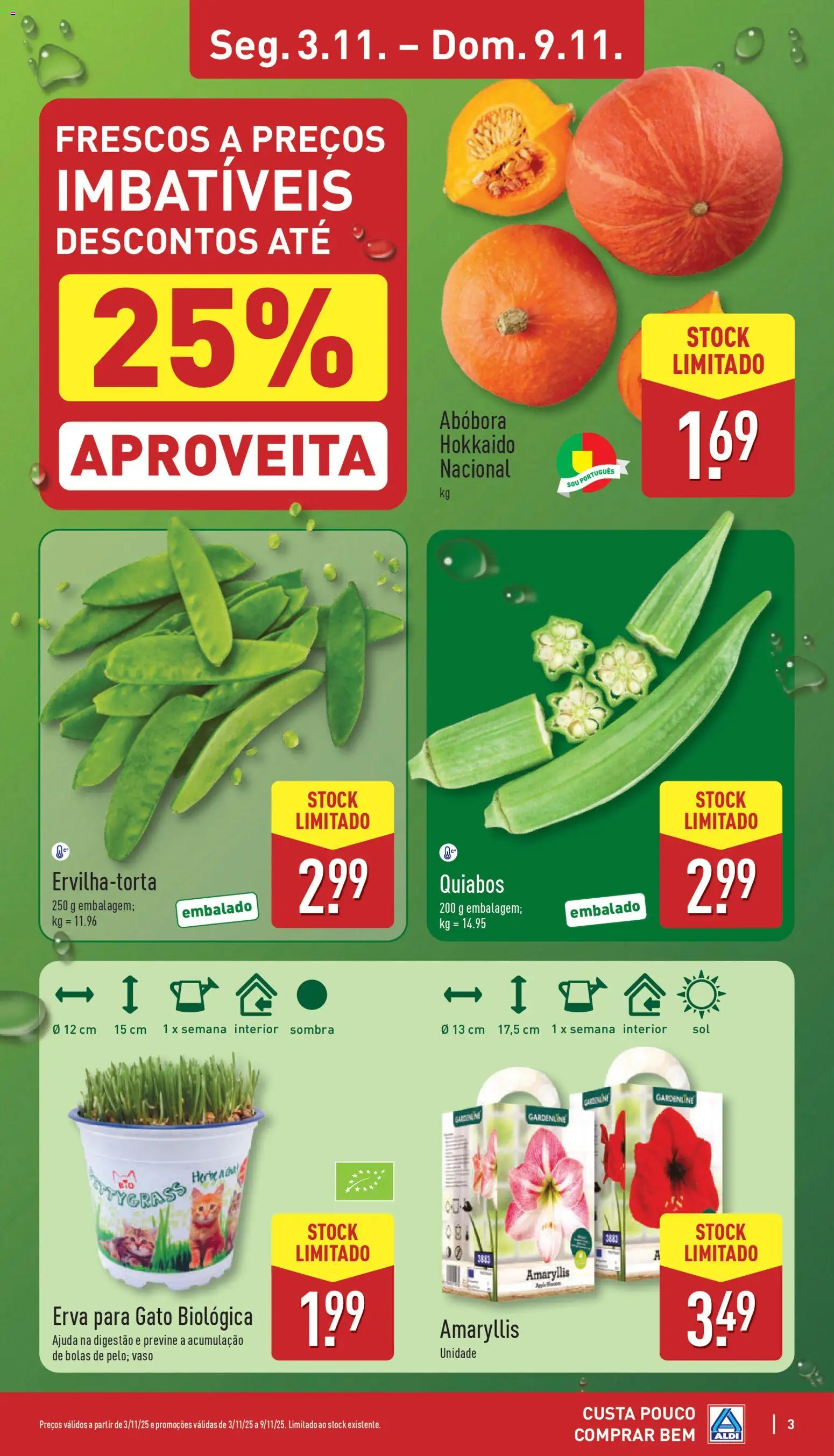 Aldi folheto │ válido de 03.11.2025 | Página: 3 | Produtos: Vaso, Abóbora