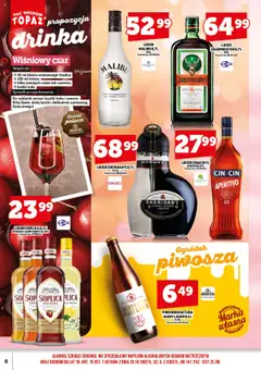 Topaz Gazetka alkoholowa od 17.07.2025 | Strona: 10