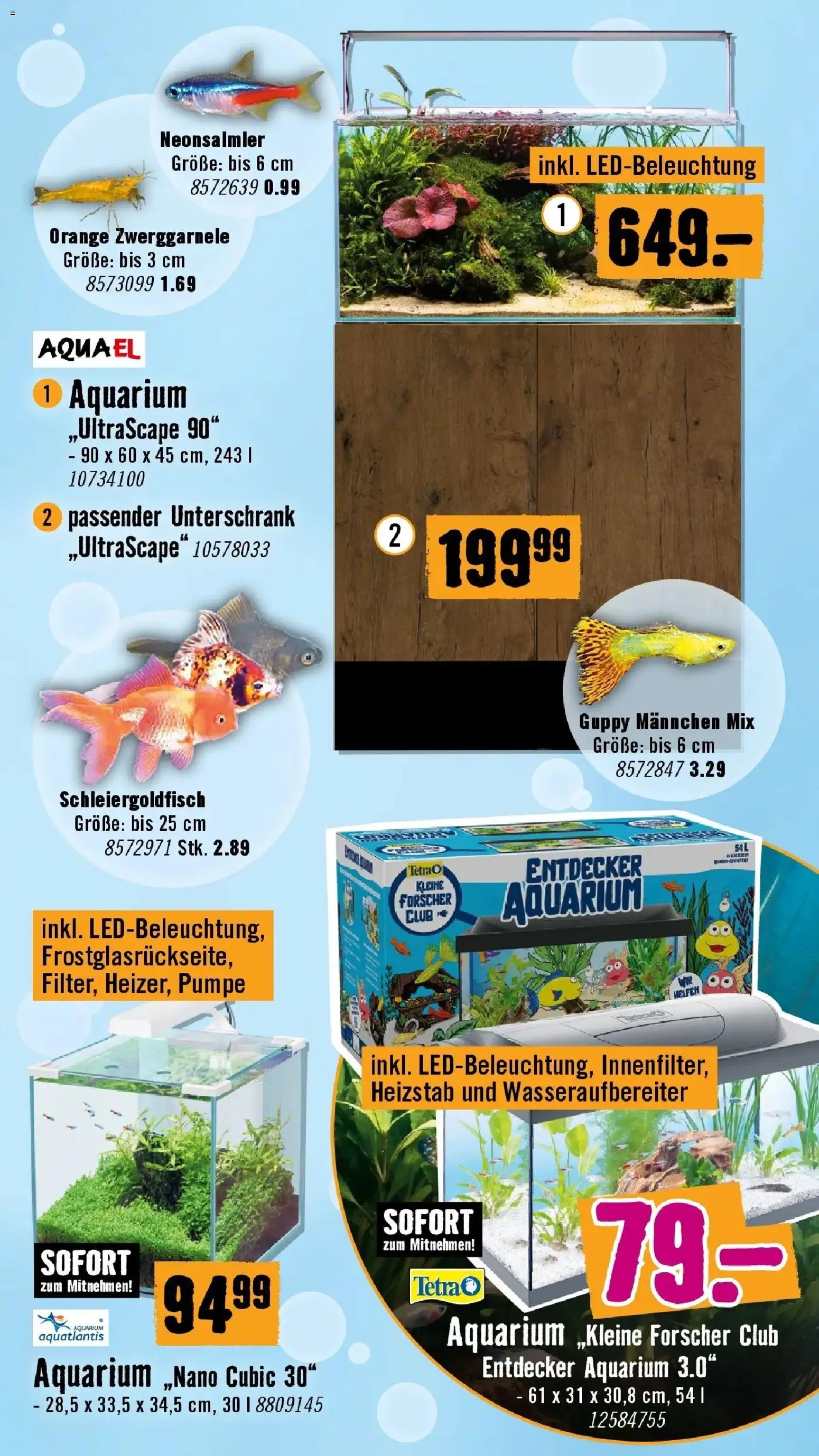 Hornbach Flugblatt gültig ab 18.11.2025 | Seite: 3