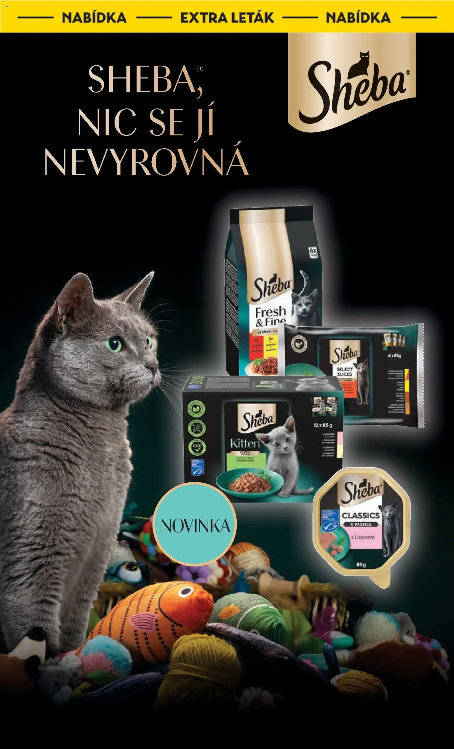 Albert leták - Hypermarket od 10.12.2025 | Strana: 8