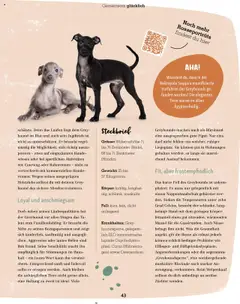 Fressnapf Magazin ab 01.09.2025 gültig | Seite: 43