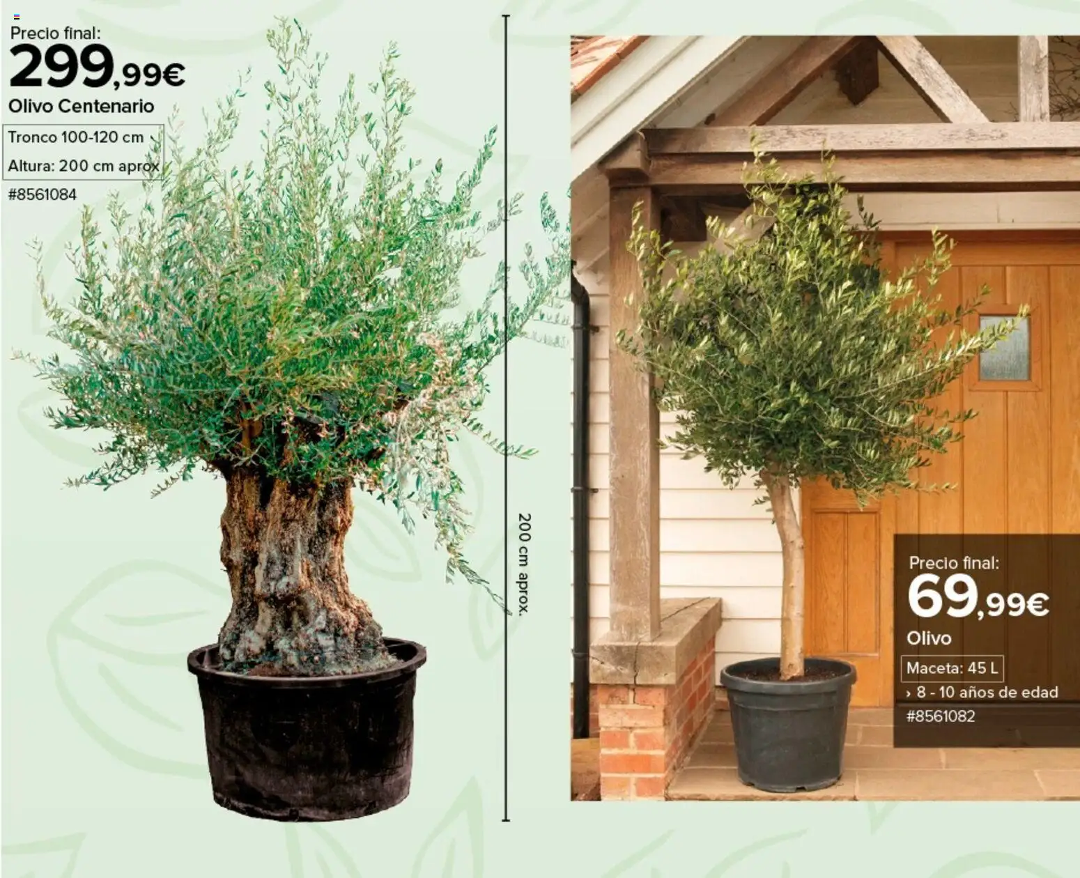 Costco catálogo │ válido desde el 04.03.2026 | Página: 4 | Productos: Maceta