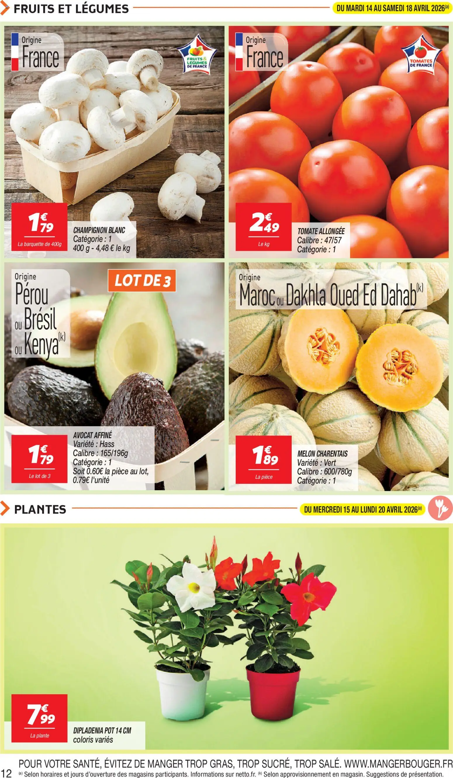 {H1} | Page: 12 | Produits: Melon, Plantes, Dipladénia, Tomates