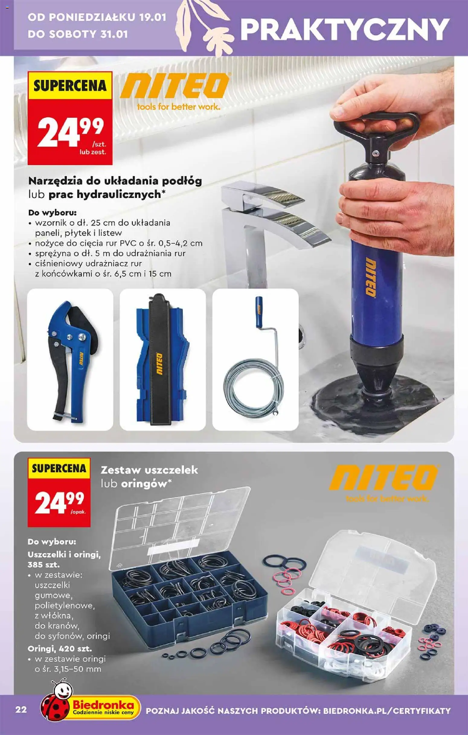 Biedronka gazetka - Hity i inspiracje od 17.01.2026 | Strona: 22