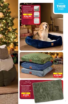 Preview of Aldi - Weekly offers UK Specialbuys valid from 11.12.2025 | Page: 7 | Products: Bed, Mattress, Blanket