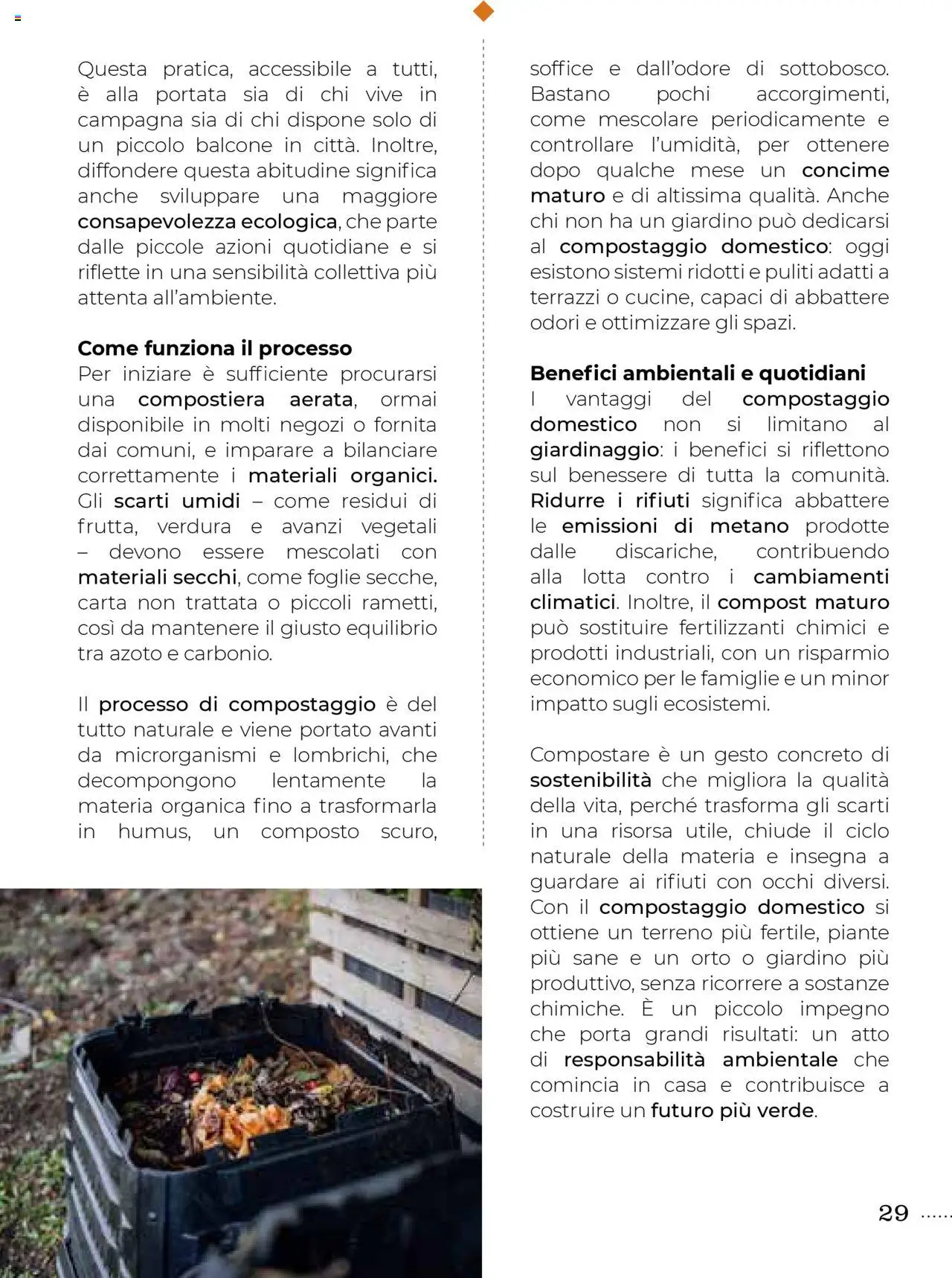 Volantino Gulliver del 01.10.2025 | Pagina: 29 | Prodotti: Concime
