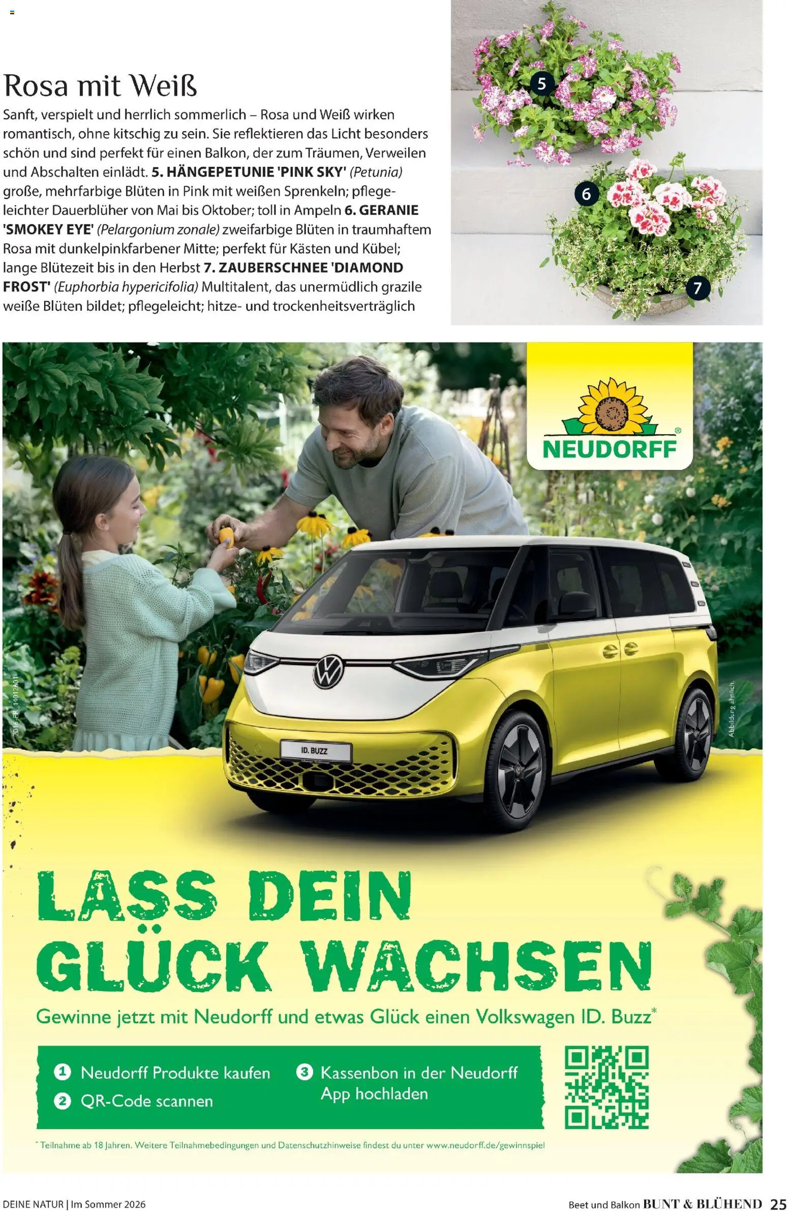 Dehner Prospekt 	 – gültig ab 17.04.2026 | Seite: 25