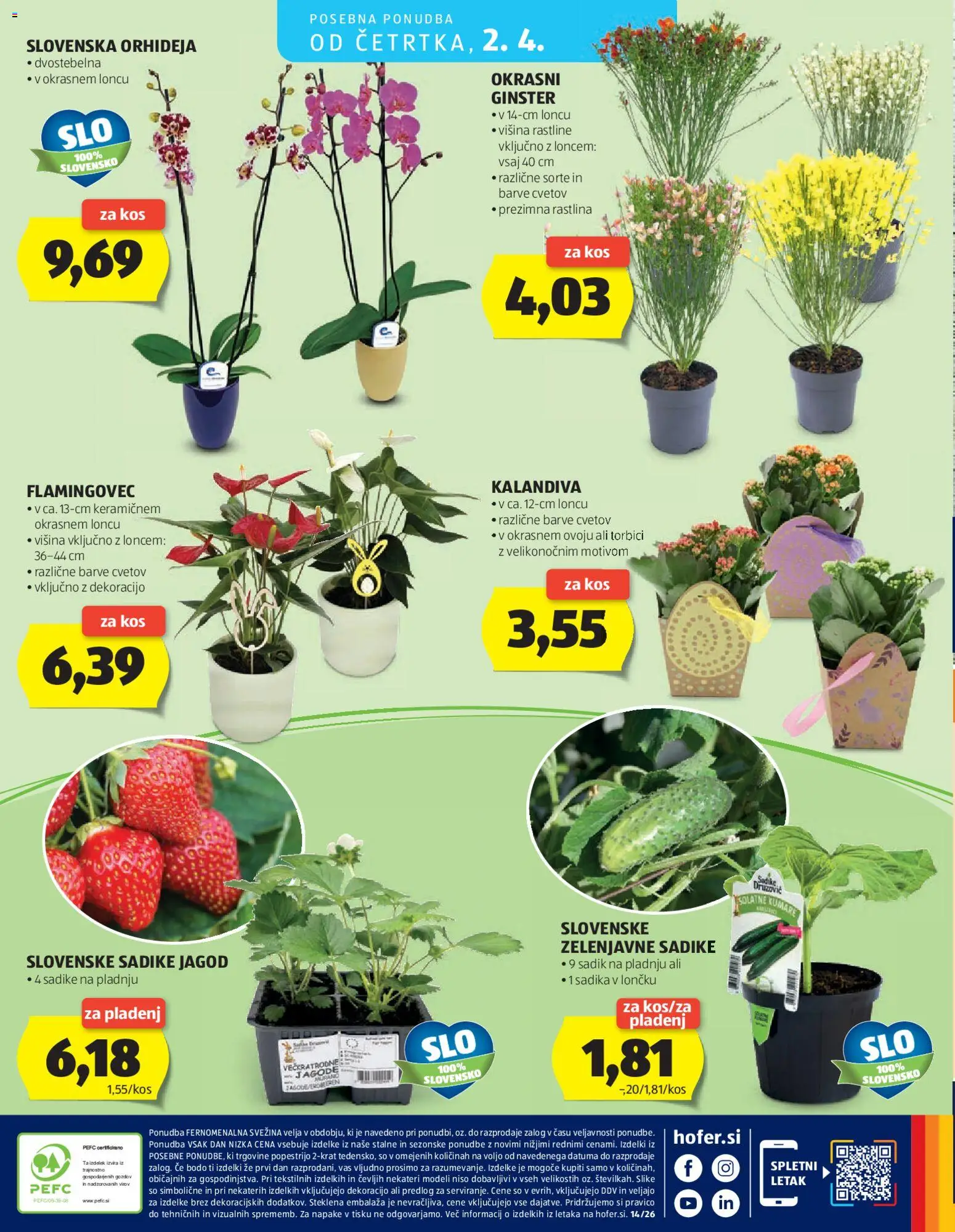 Novi Hofer katalog ponudbe – veljaven od 25.03.2026 | Stran: 28 | Izdelki: Kos, Jagode