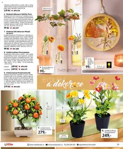 Velký Košík katalog - červenec  od 01.07.2025 | Strana: 39