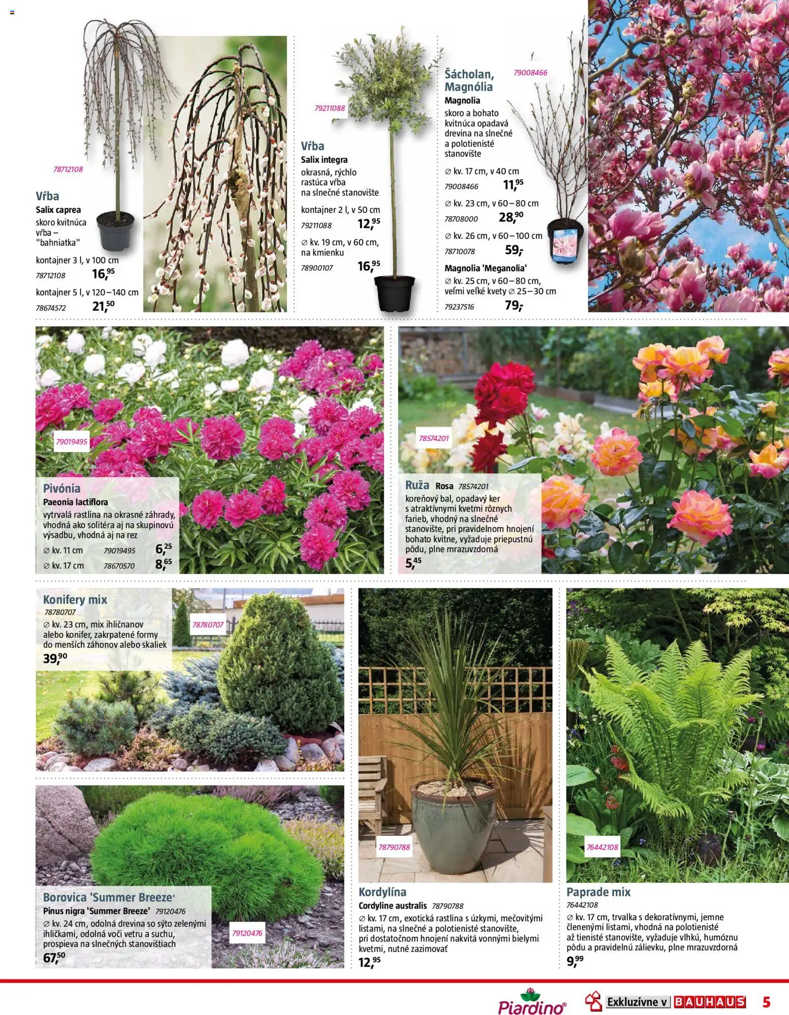 Nové Bauhaus akcie – leták je platný od 09.03.2026 | Strana: 5 | Produkty: Kvety
