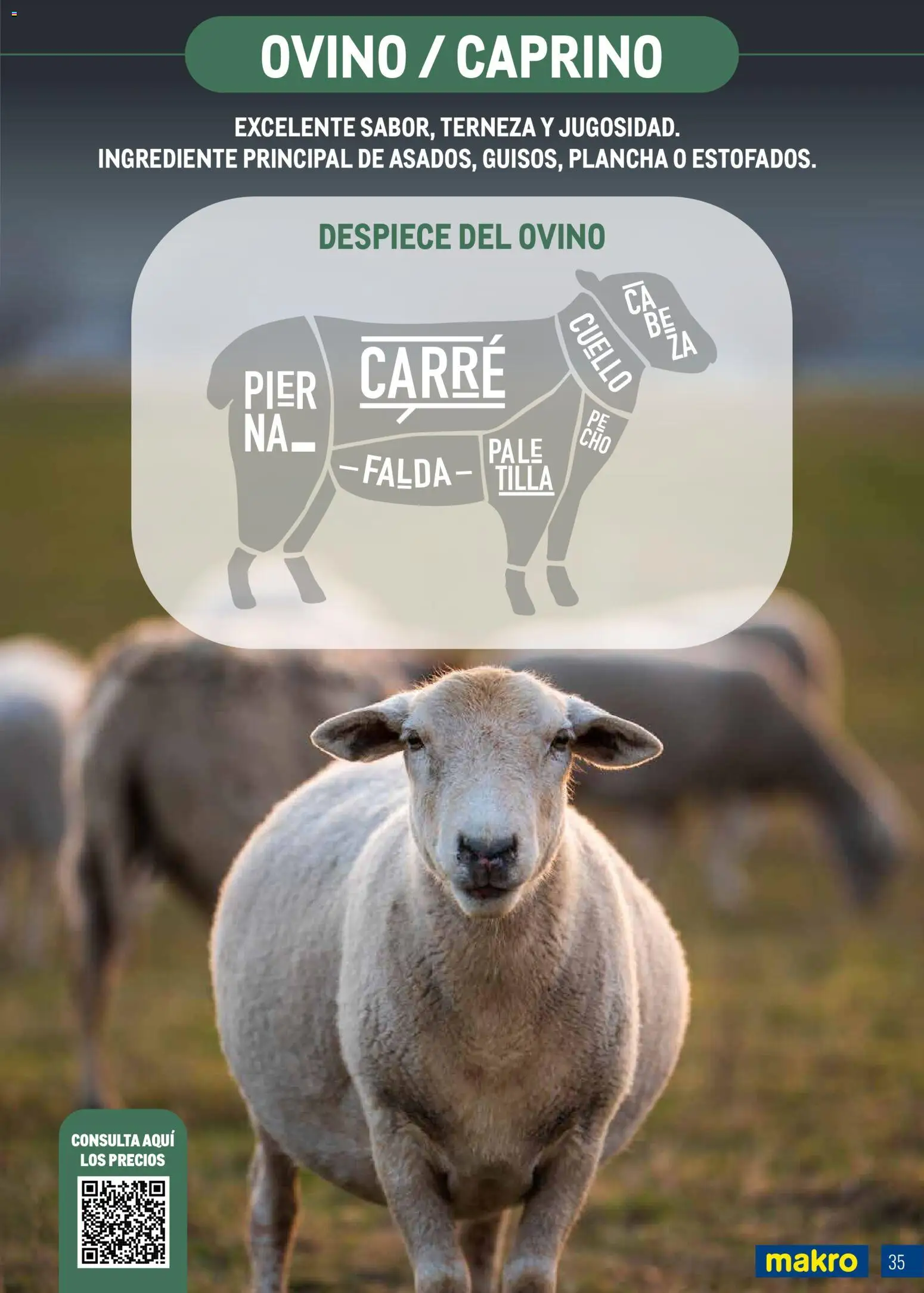 Makro - Expertos en carnes Canarias │ válido desde el 09.03.2026 | Página: 35 | Productos: Plancha