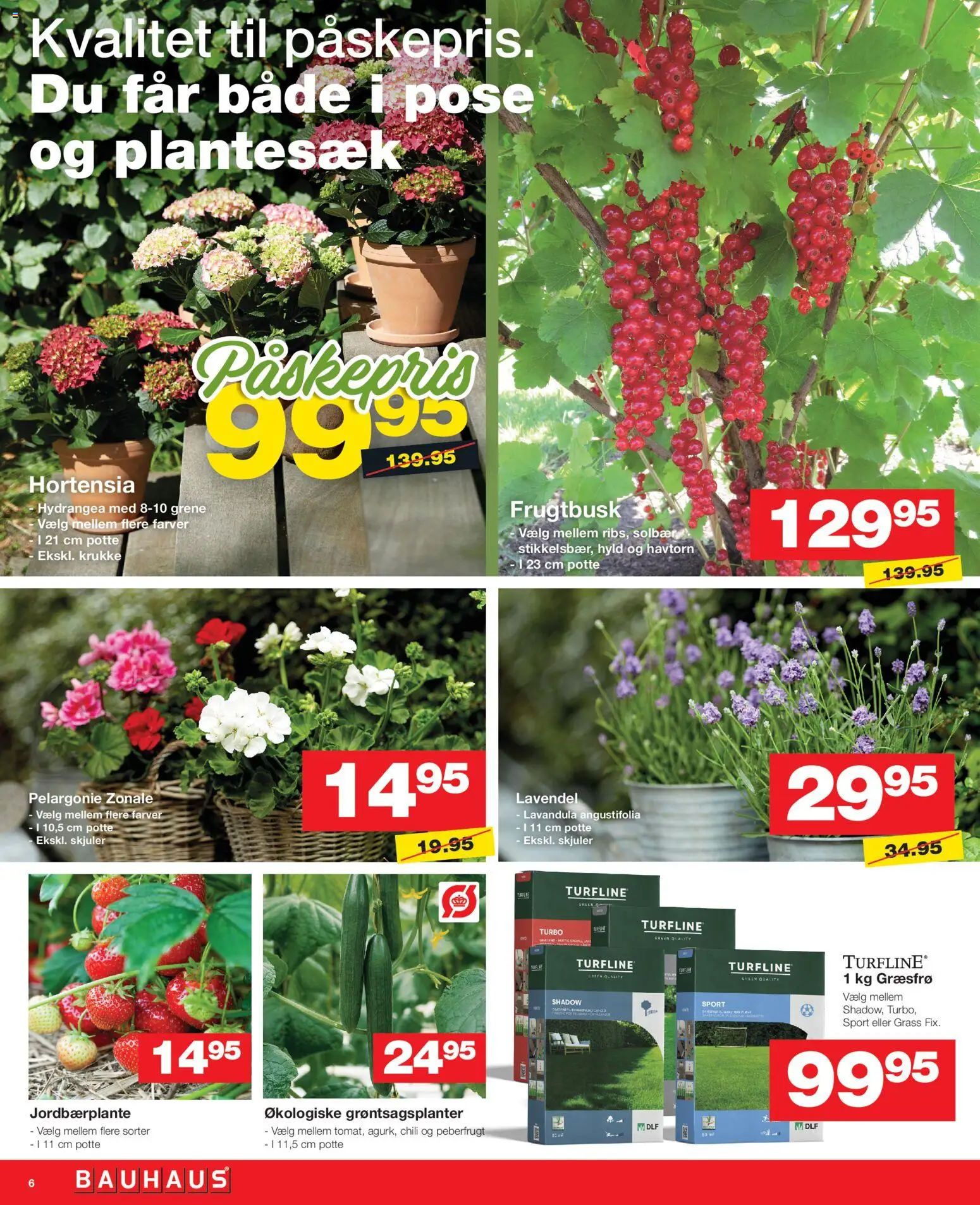 Bauhaus tilbudsavis – gyldig fra 02.04.2026 | Side: 6 | Produkter: Solbær, Krukke, Peberfrugt