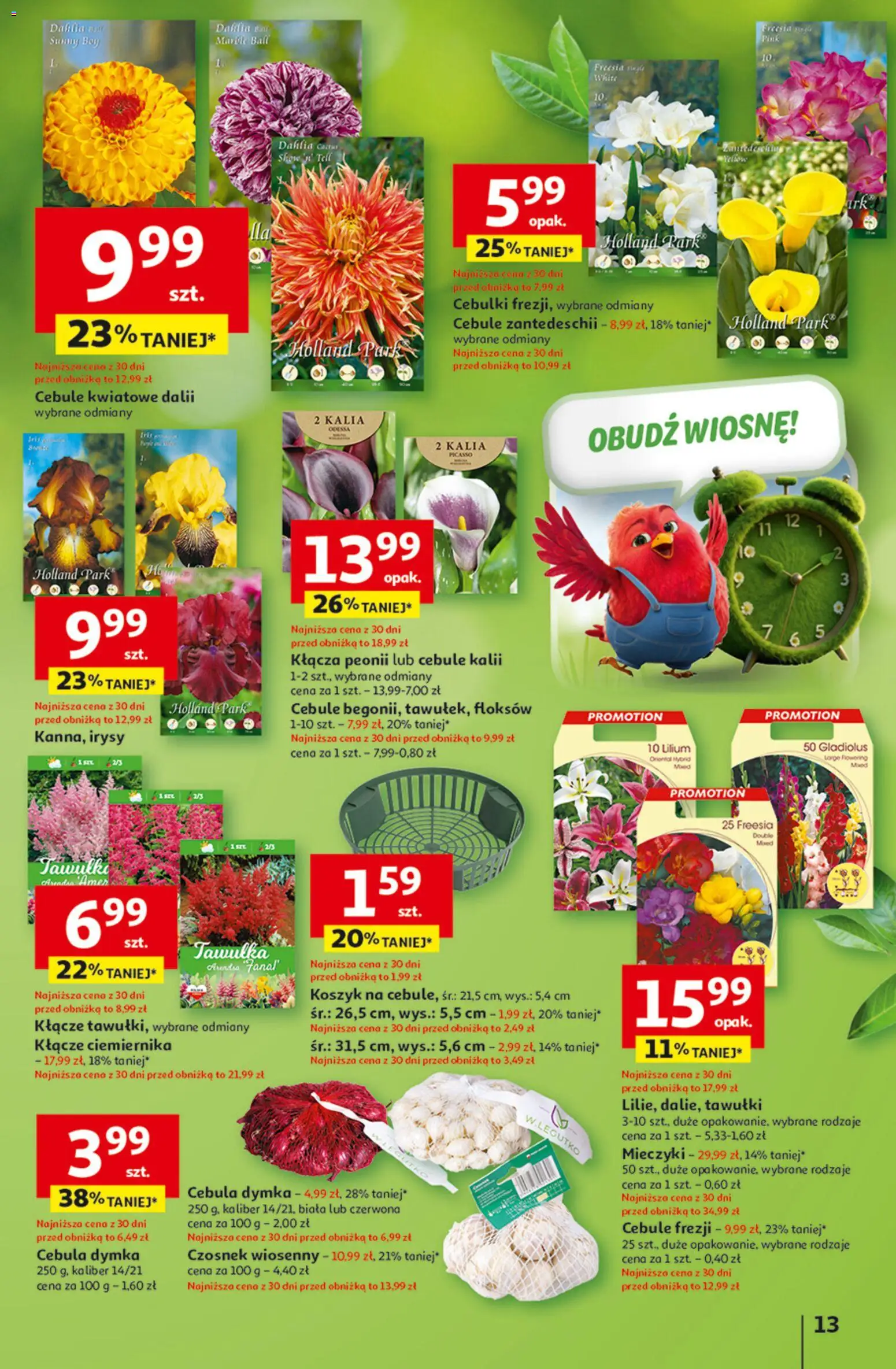Auchan Gazetka - 30 Lat Hipermarket od 26.02.2026 | Strona: 13 | Produkty: Czosnek, Cebule