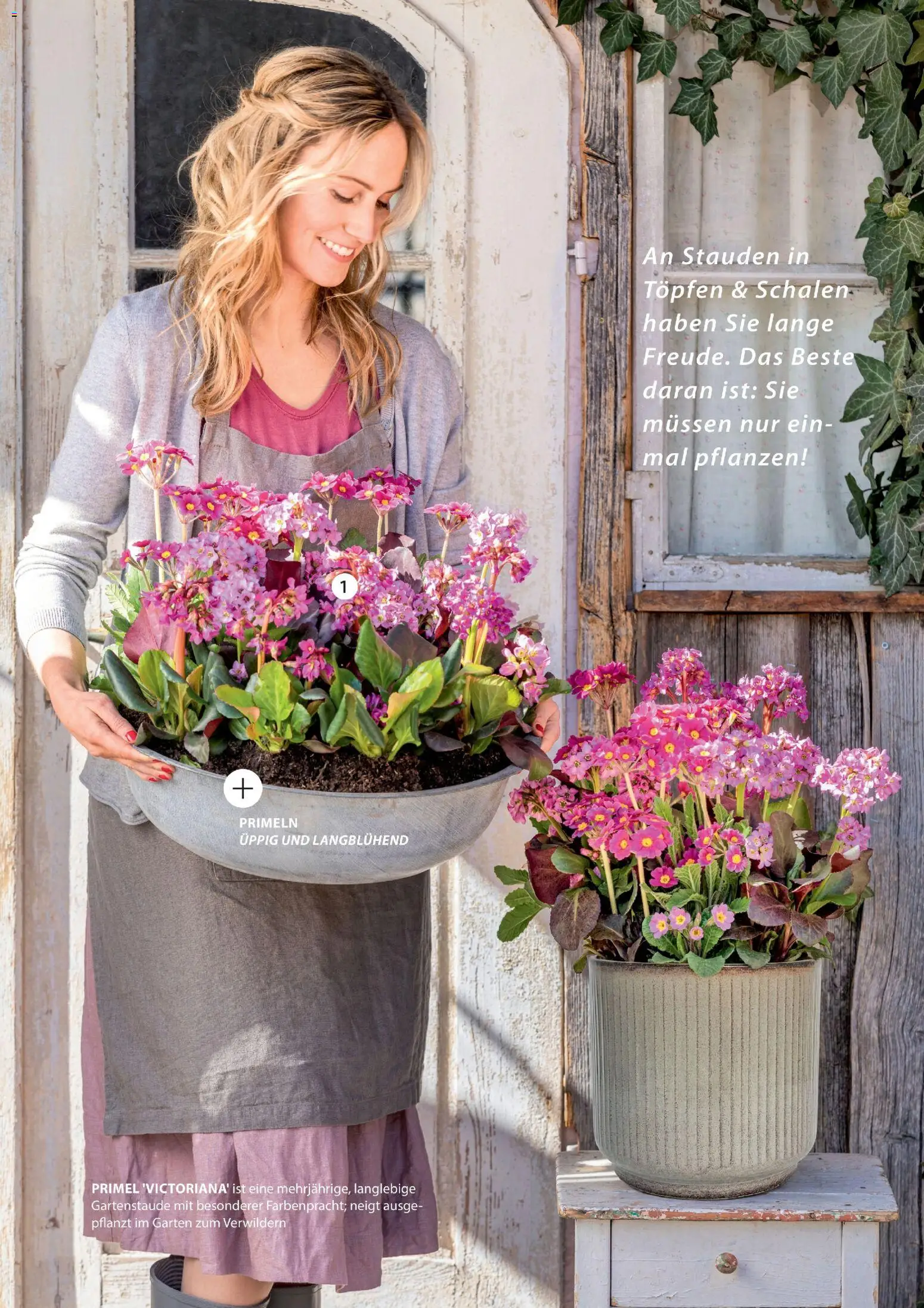 Dehner Flugblatt gültig ab 05.03.2026 | Seite: 44