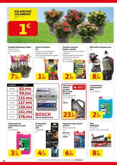 Alcampo - HP Nacional Unificado │ válido desde el 11.09.2025 | Página: 18 | Productos: Noodles αυγού, Batería, Maceta