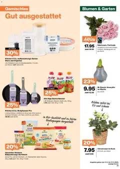 Migros Aktionen ab 11.11.2025 gültig | Seite: 23 | Produkte: Korb, Karotte, Äpfel, Eis