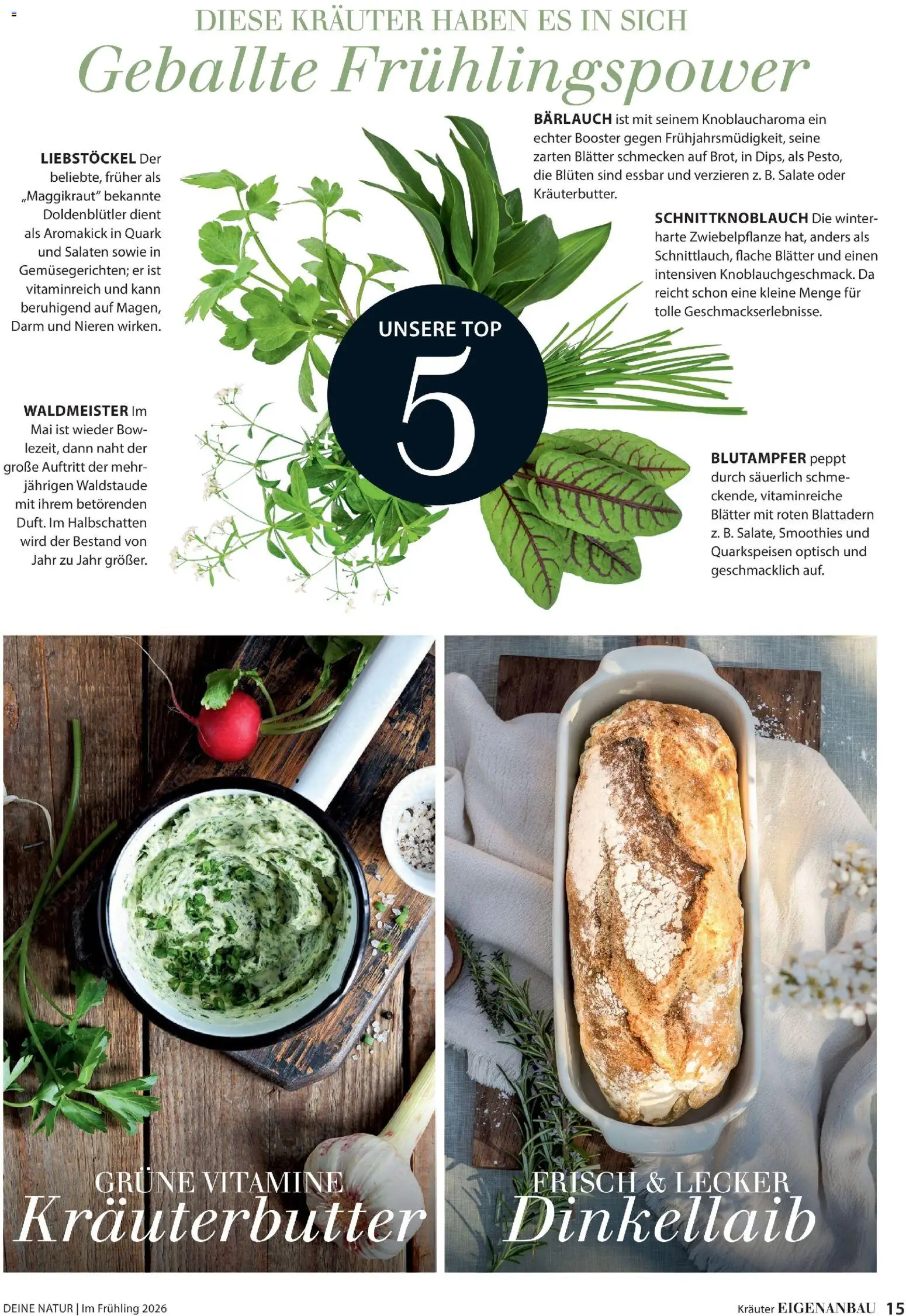 Dehner Flugblatt gültig ab 05.03.2026 | Seite: 15