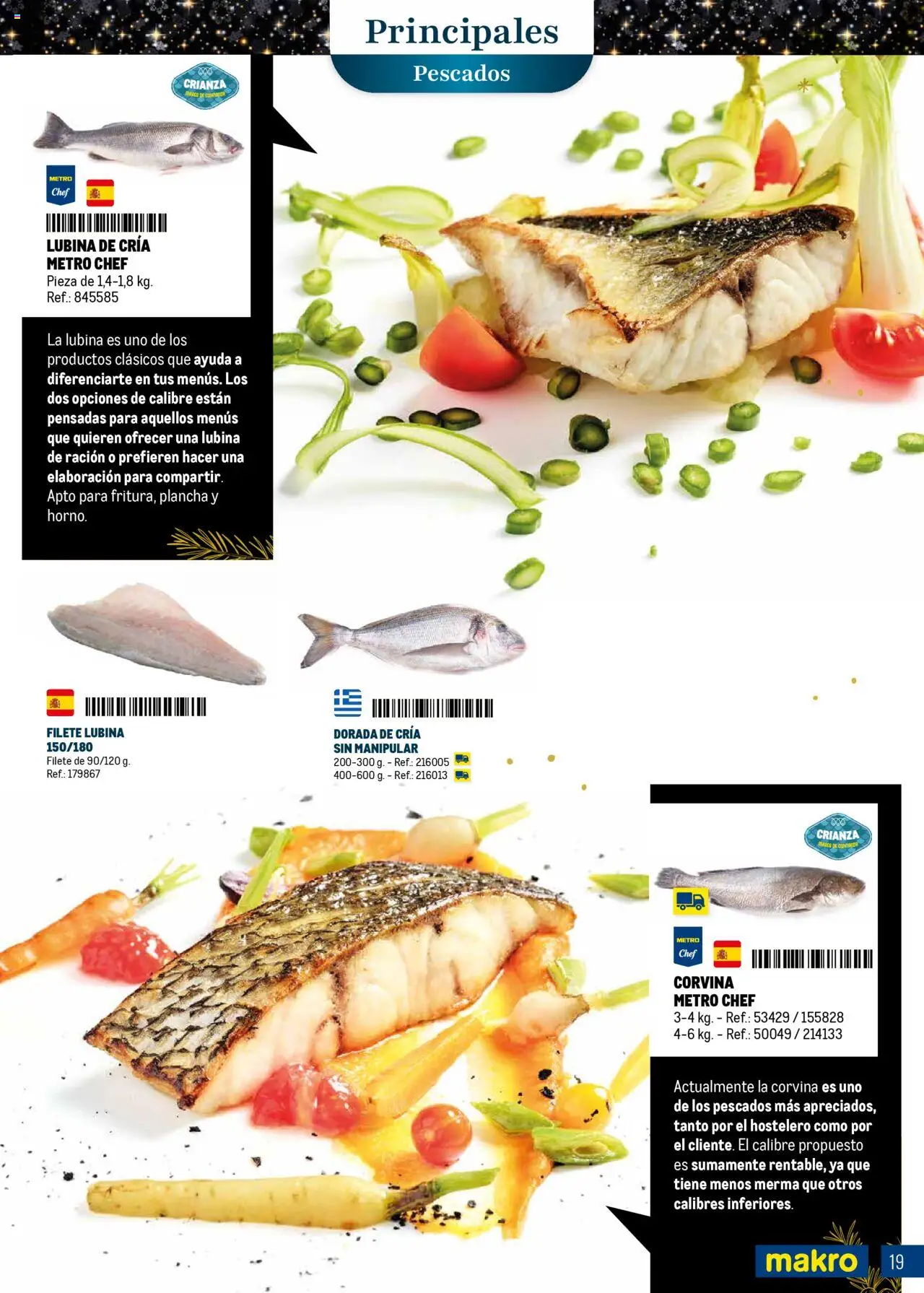 Makro - Comidas y Cenas de Navidad Norte 2 │ válido desde el 03.10.2025 | Página: 19 | Productos: Plancha, Filete