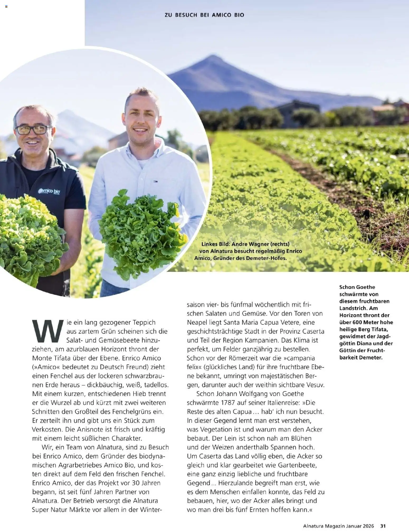 Alnatura Prospekt – gültig ab 01.01.2026 | Seite: 31 | Produkte: Teppich, Salat