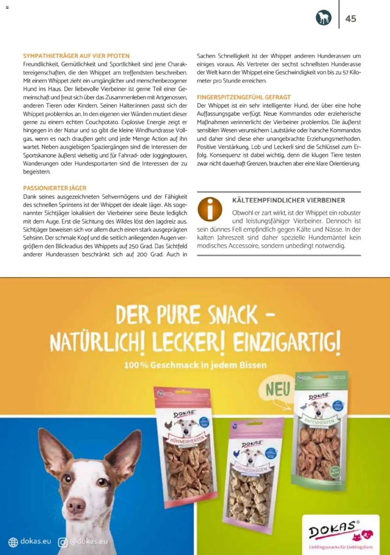 zookauf Heimtier Journal – gültig ab 01.10.2025 | Seite: 45