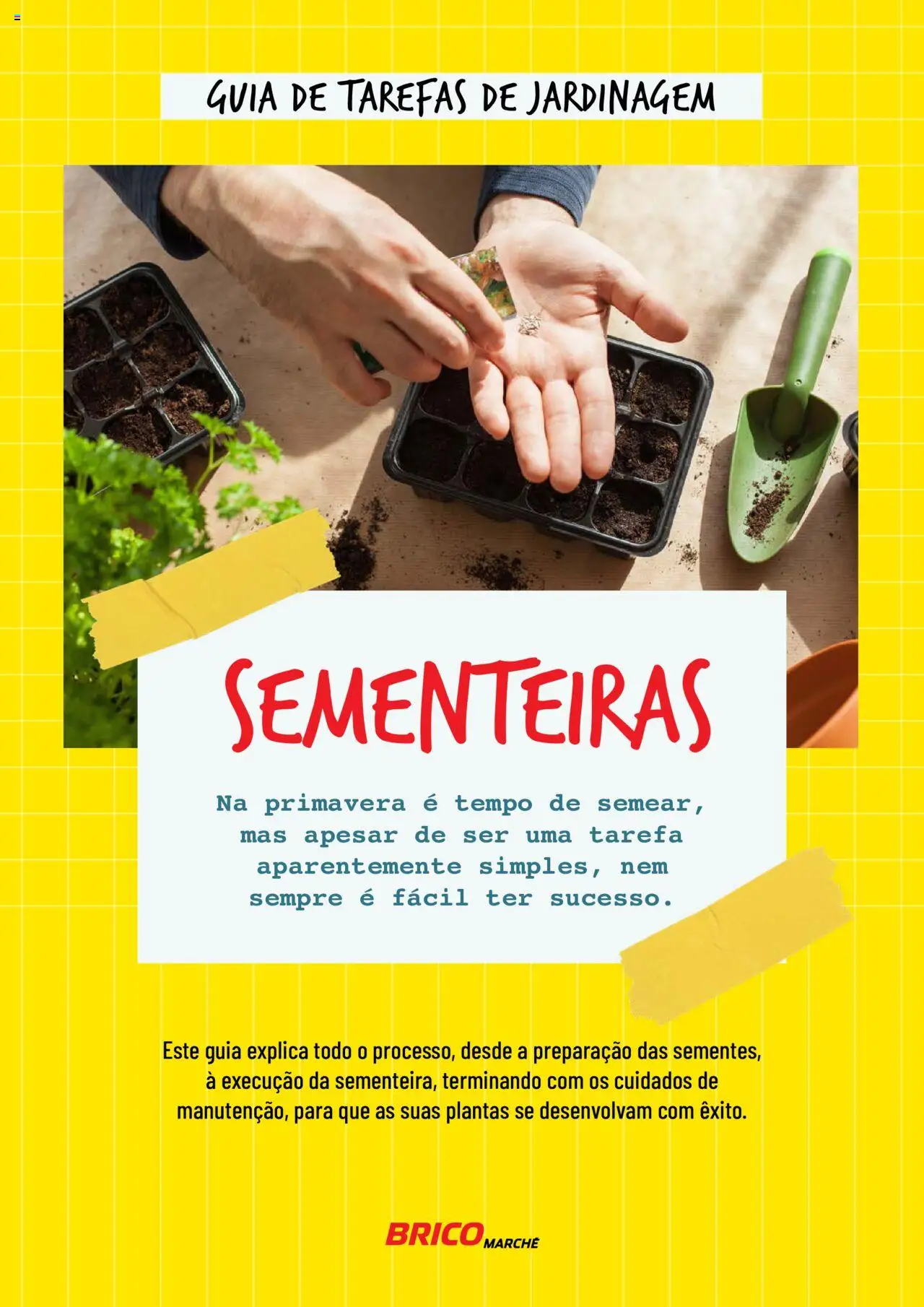 BricoMarché Sementeiras │ válido de 17.01.2024 | Página: 1