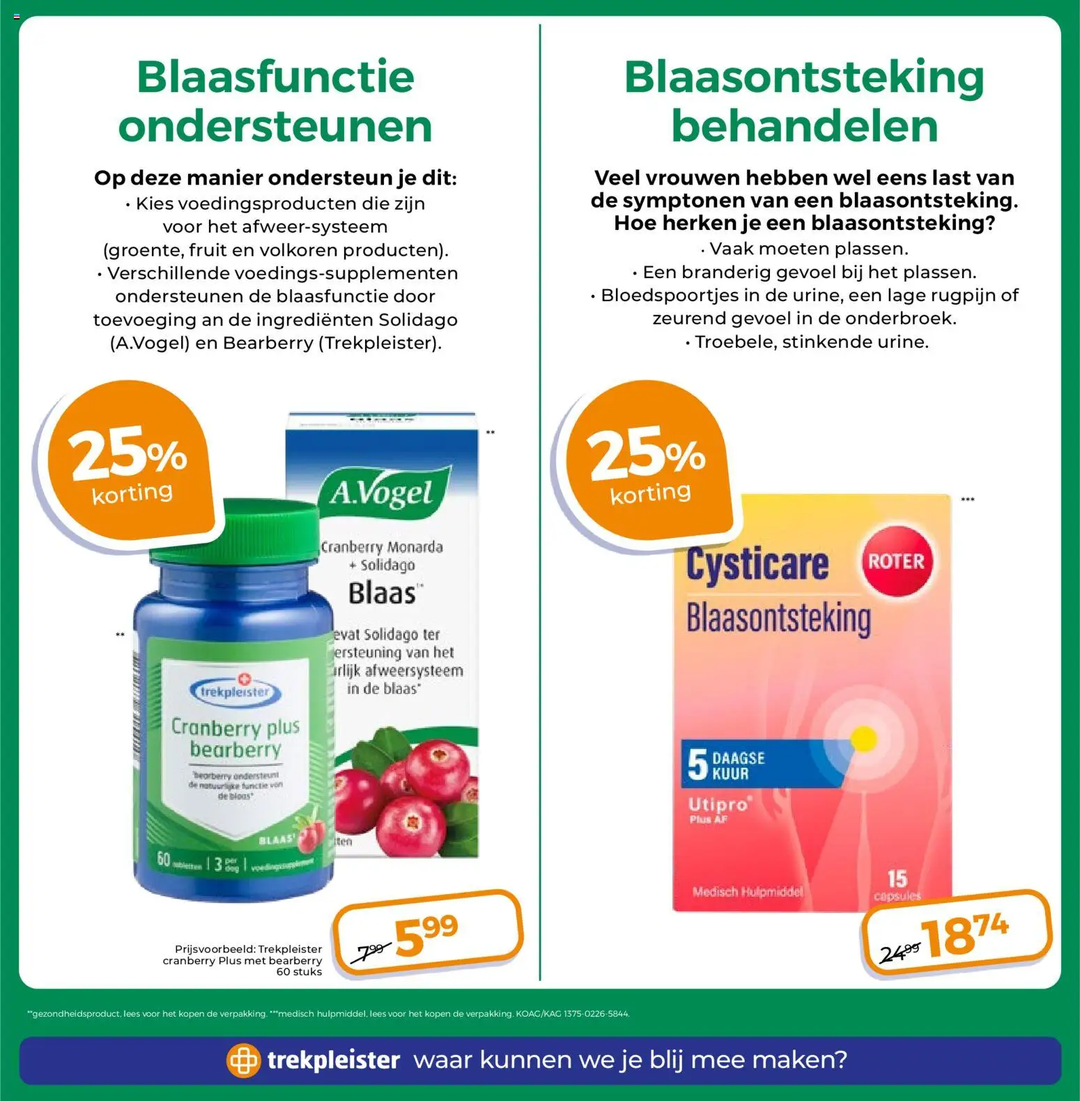 {H1} | Pagina: 52 | Producten: Fruit, Citrompótló tabletta